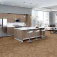 RIPPLE-EFFECT-J0116-ECHO-00201-room-image